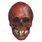 Mabry Monsters Mask Night Owl Skull Blood