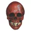 Mabry Monsters Mask Night Owl Skull Blood