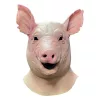Spiral Mask Pig