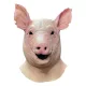 Spiral Mask Pig