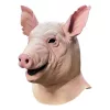 Spiral Mask Pig