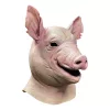 Spiral Mask Pig