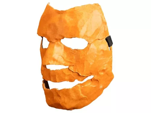 Halloween 2007 Mask Asylum