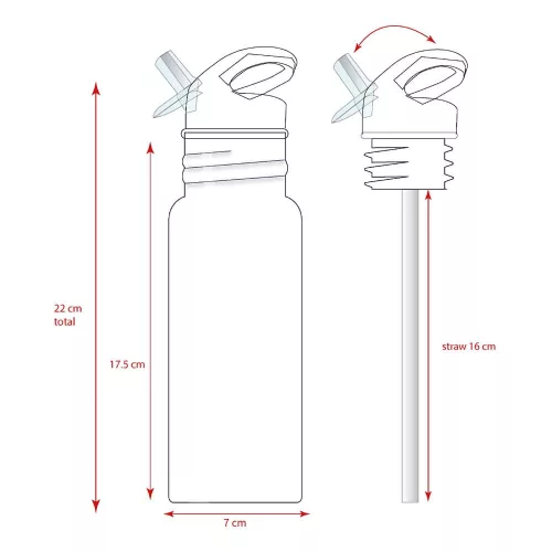 Spider-Man Water Bottle Spidey Take A Sip 500 ml