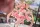 Original Character PVC Figure 1/6 DS Mile Original Illustration Su Xiaoxiao 24 cm