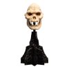 Lord of the Rings Mini Szobor Skull of Lurtz 14 cm