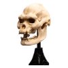 Lord of the Rings Mini Szobor Skull of Lurtz 14 cm