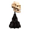 Lord of the Rings Mini Szobor Skull of Lurtz 14 cm