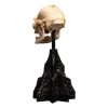 Lord of the Rings Mini Szobor Skull of Lurtz 14 cm