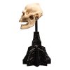 Lord of the Rings Mini Szobor Skull of Lurtz 14 cm