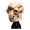 Lord of the Rings Mini Szobor Skull of a Cave Troll 21 cm