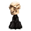 Lord of the Rings Mini Szobor Skull of a Cave Troll 21 cm