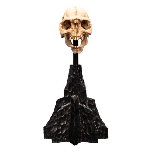 Lord of the Rings Mini Szobor Skull of a Moria Orc 13 cm