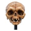 Lord of the Rings Mini Szobor Skull of Gollum 13 cm