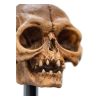 Lord of the Rings Mini Szobor Skull of Gollum 13 cm