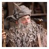 The Lord of the Rings Szobor 1/6 Radagast in Rhosgobel Limited Edition 43 cm