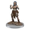 Pathfinder Battles Deep Cuts Unpainted Miniatures 2-Packs Half-Elf Monk Female Case (2)