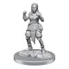 Pathfinder Battles Deep Cuts Unpainted Miniatures 2-Packs Half-Elf Monk Female Case (2)