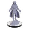 Critical Role Unpainted Miniature Lucien Tavelle & Cree Deeproots