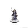 D&D Icons of the Realms pre-painted Miniatures Planescape: Baldur's Gate 3 - Character Boxed Set