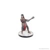 D&D Icons of the Realms: Adventures from Baldur's Gate Booster Brick (8)