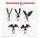 D&D Icons of the Realms Mini Figures Harpy Flock 20 cm