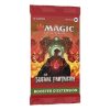 Magic the Gathering La Guerre Fratricide Set Booster Display (30) french