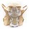 CookieRun: Kingdom Plush Figure Mystic Flour Cookie 22 cm